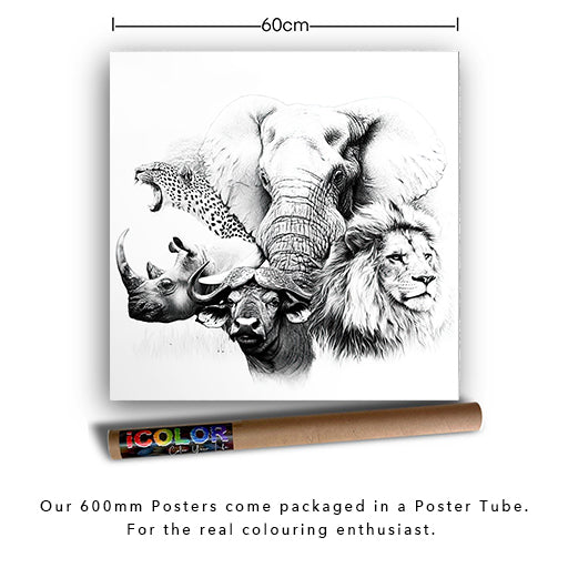 Legends of the Wild: Big 5 Colouring Products - Majestic Animal Art - iColor