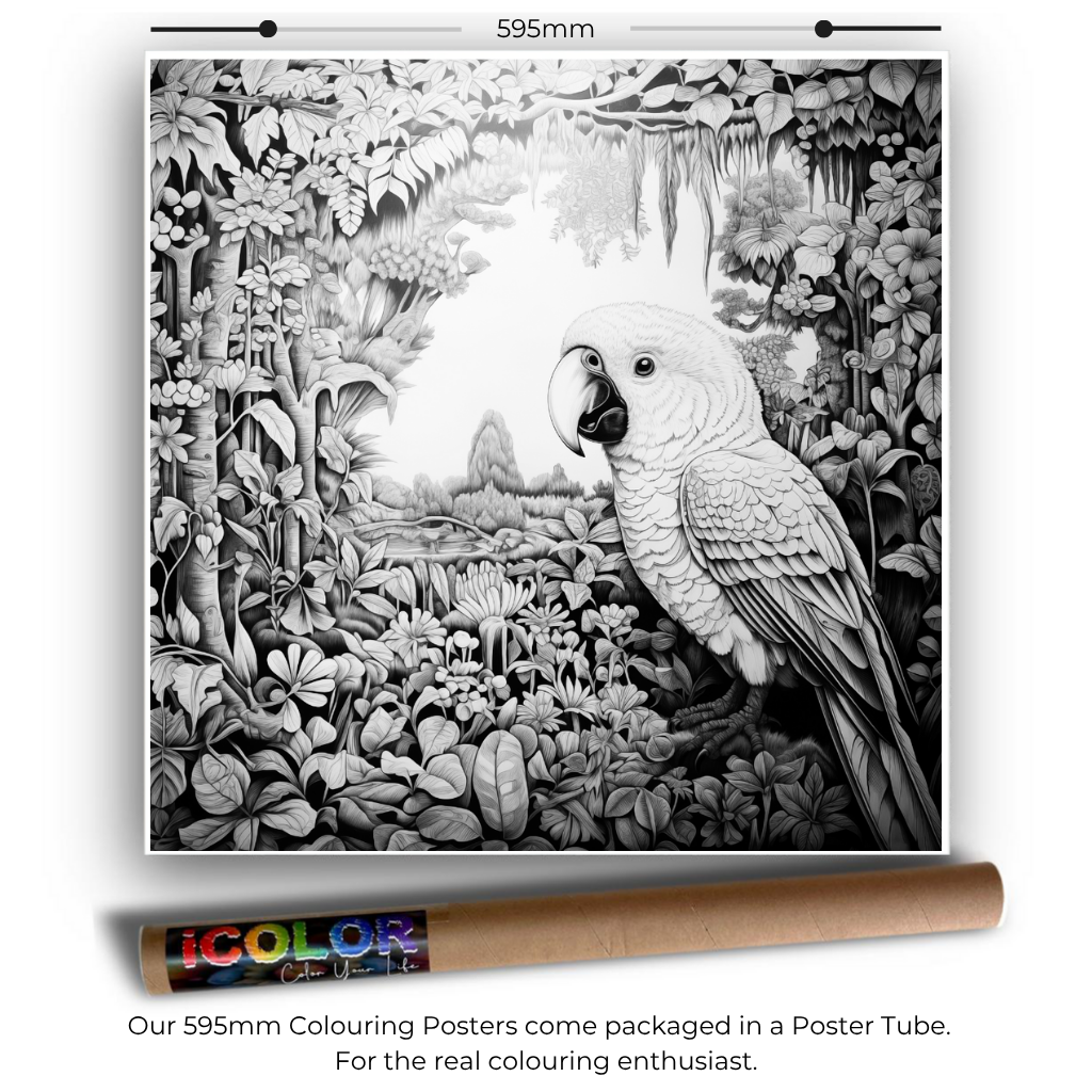 Bird Collection Colouring Posters - Bird Art | iColor
