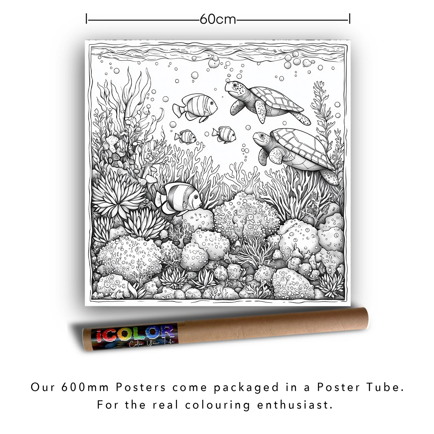 Turtle Reef Serenity Colouring Products - Intricate Aquatic Art | iColor