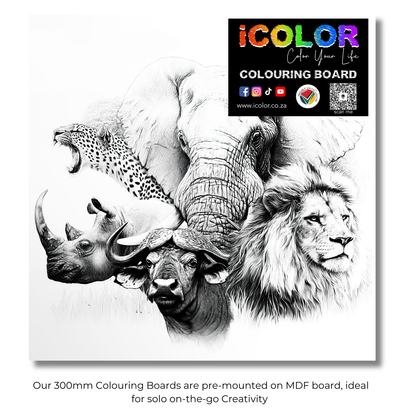 Wildlife Collection Colouring Boards - Animal Art | iColor