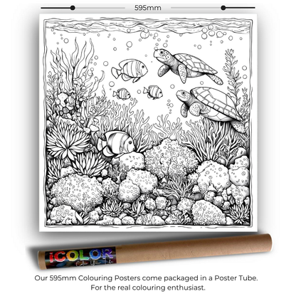 Aqualife Collection Colouring Posters - Sea Art | iColor