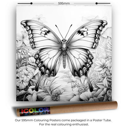 Wildlife Collection Colouring Posters - Animal Art | iColor