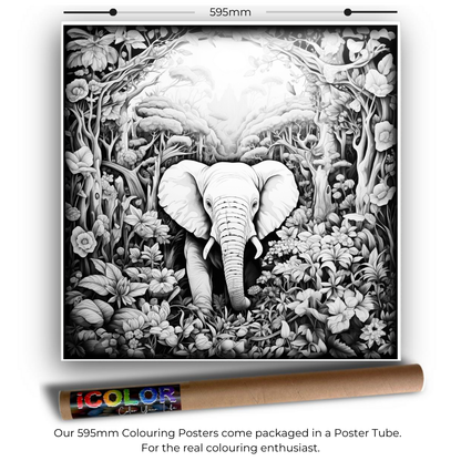 Wildlife Collection Colouring Posters - Animal Art | iColor