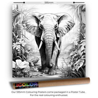 Wildlife Collection Colouring Posters - Animal Art | iColor