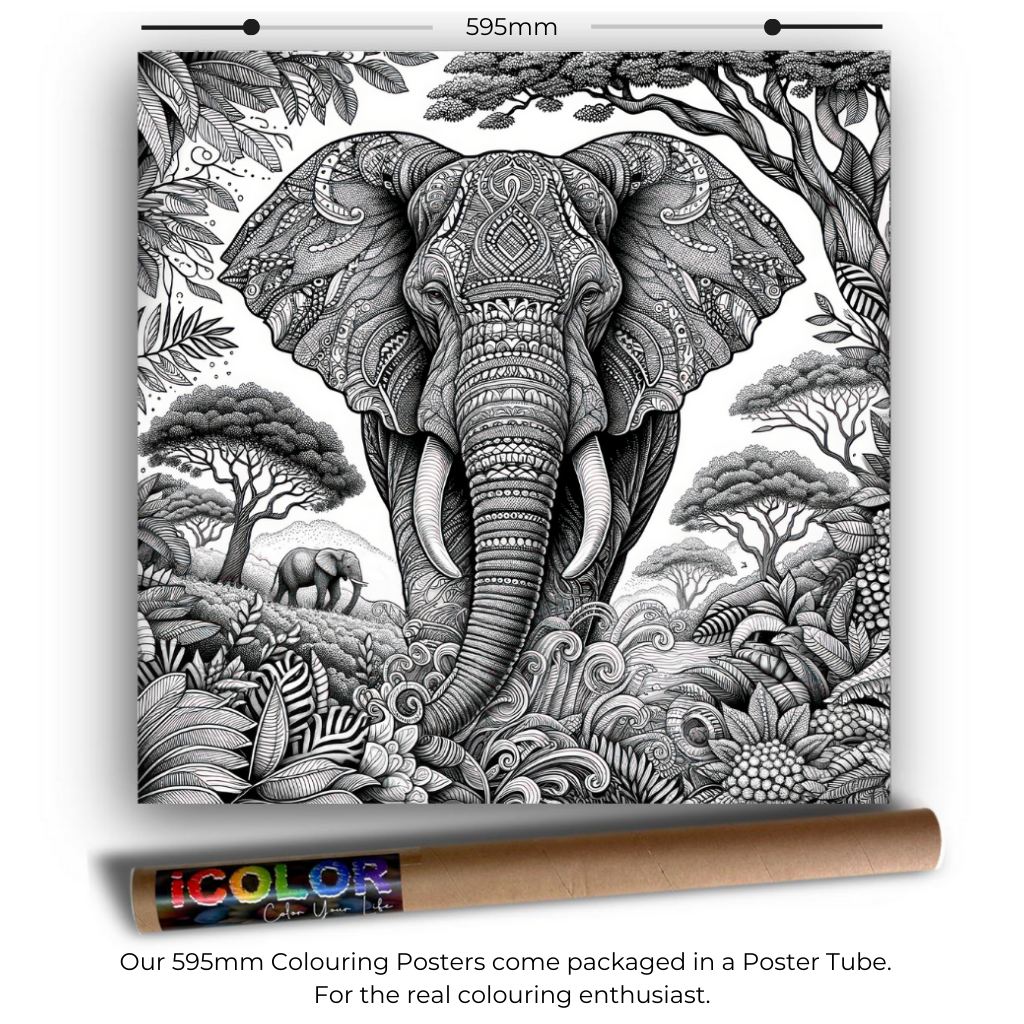 Wildlife Collection Colouring Posters - Animal Art | iColor