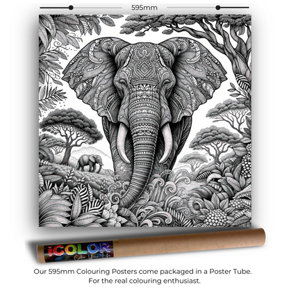 Wildlife Collection Colouring Posters - Animal Art | iColor