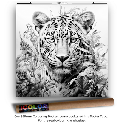 Wildlife Collection Colouring Posters - Animal Art | iColor