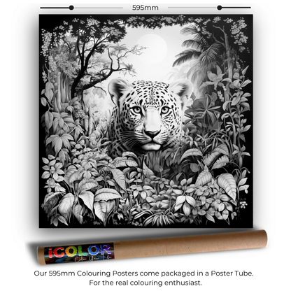 Wildlife Collection Colouring Posters - Animal Art | iColor