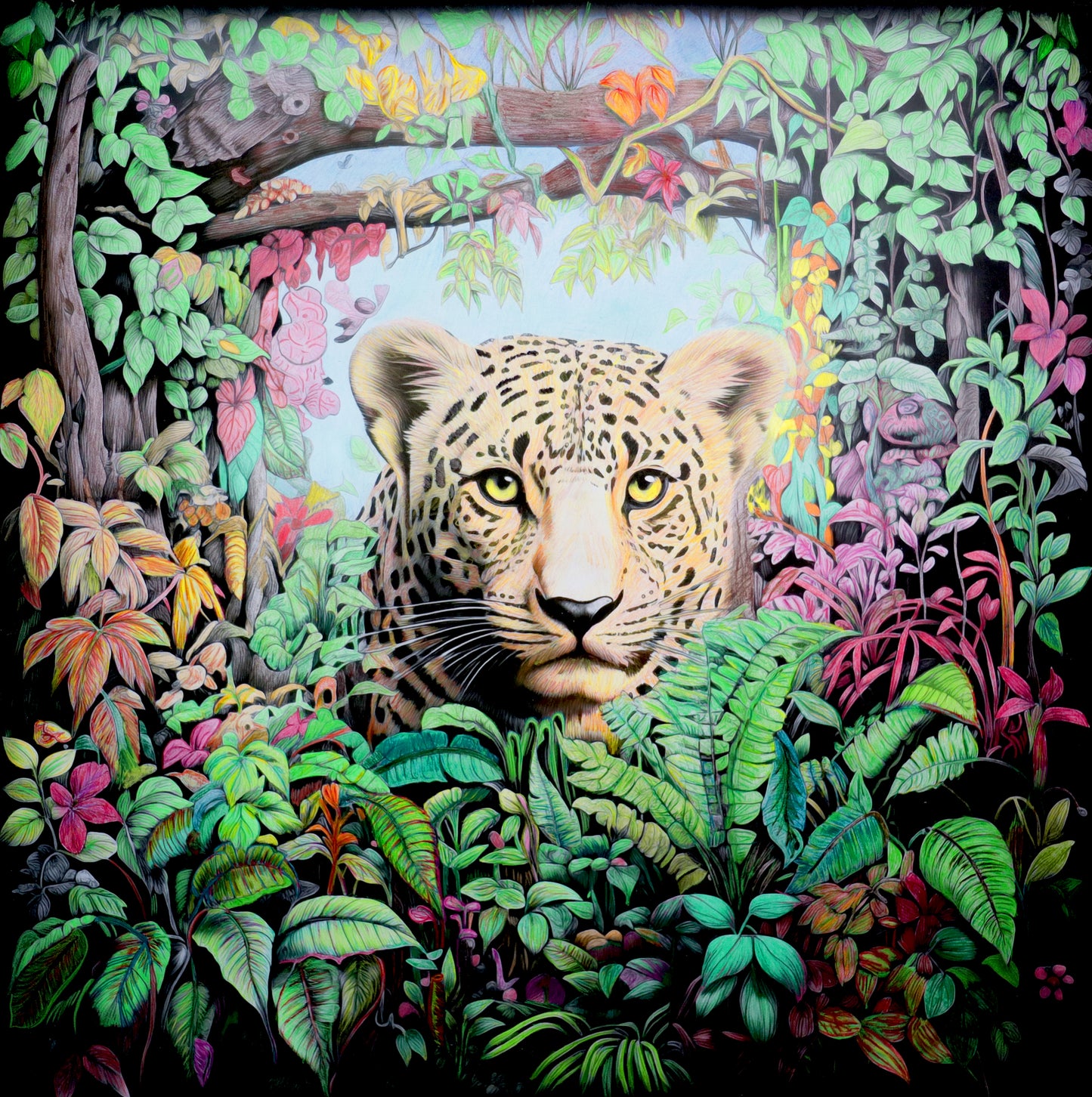Wildlife Collection Colouring Posters - Animal Art | iColor