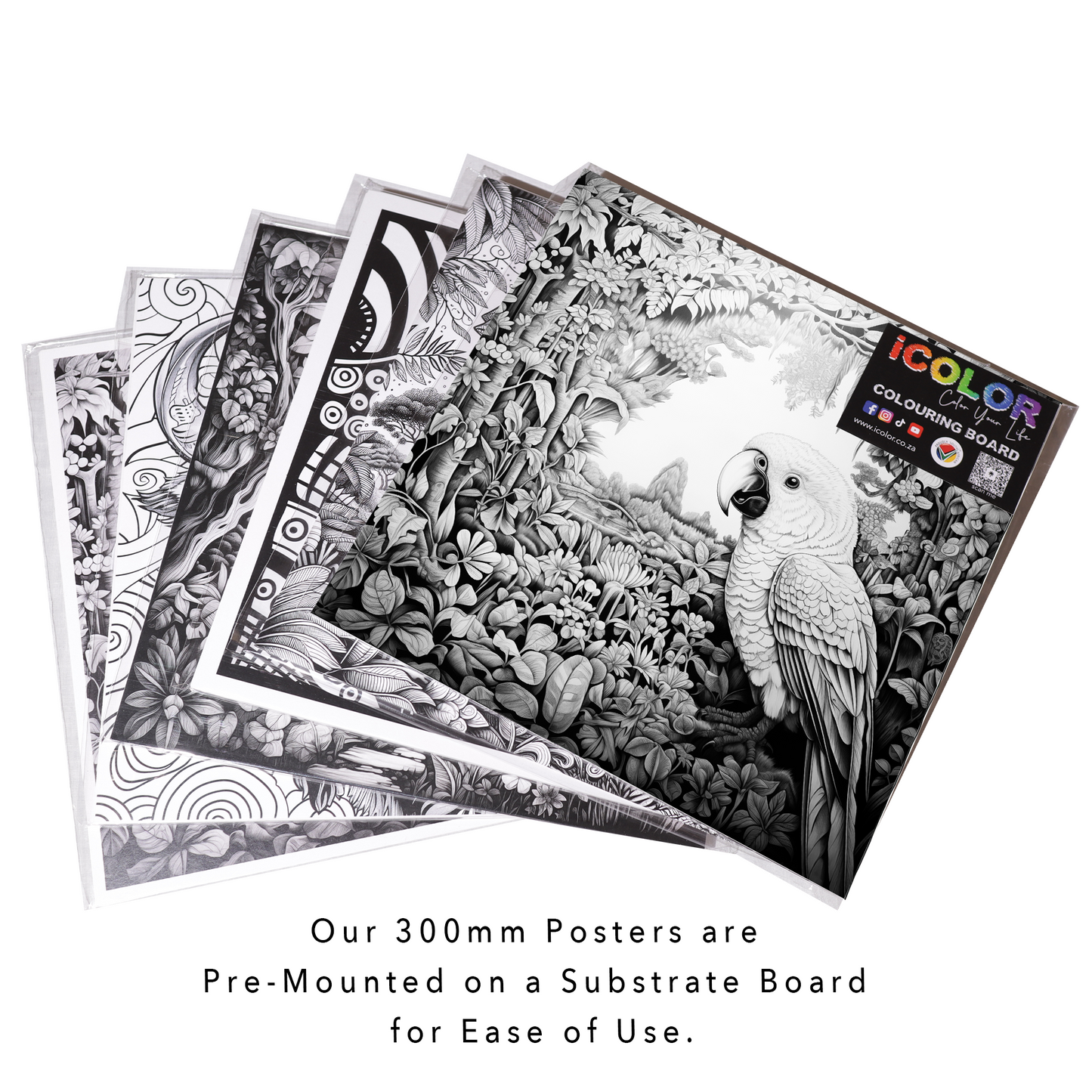 African Jungle Parrot Colouring Products - Majestic Animal Art | iColor