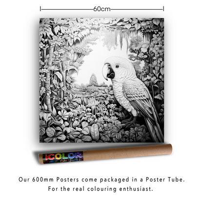 African Jungle Parrot Colouring Products - Majestic Animal Art | iColor