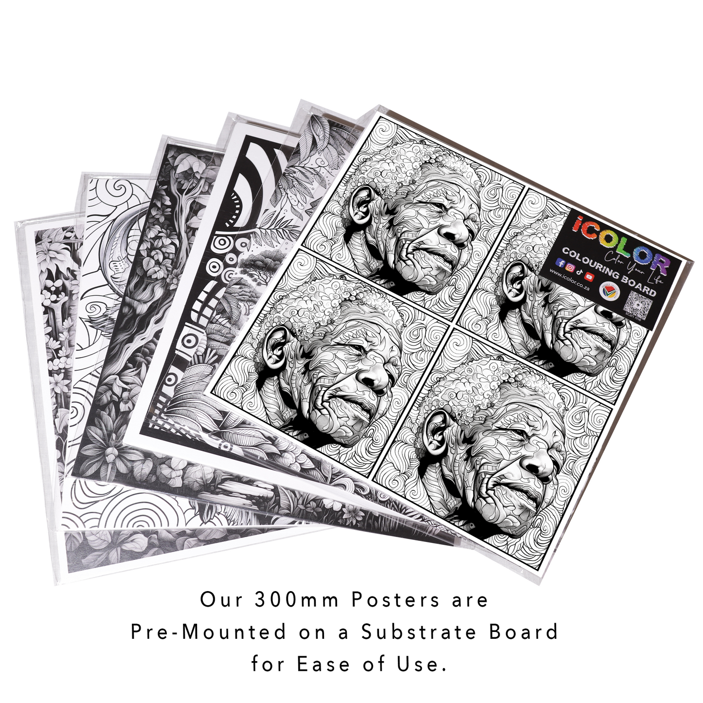 Reflections of Madiba Colouring Products - Multi-Panel Tribute to Nelson Mandela | iColor