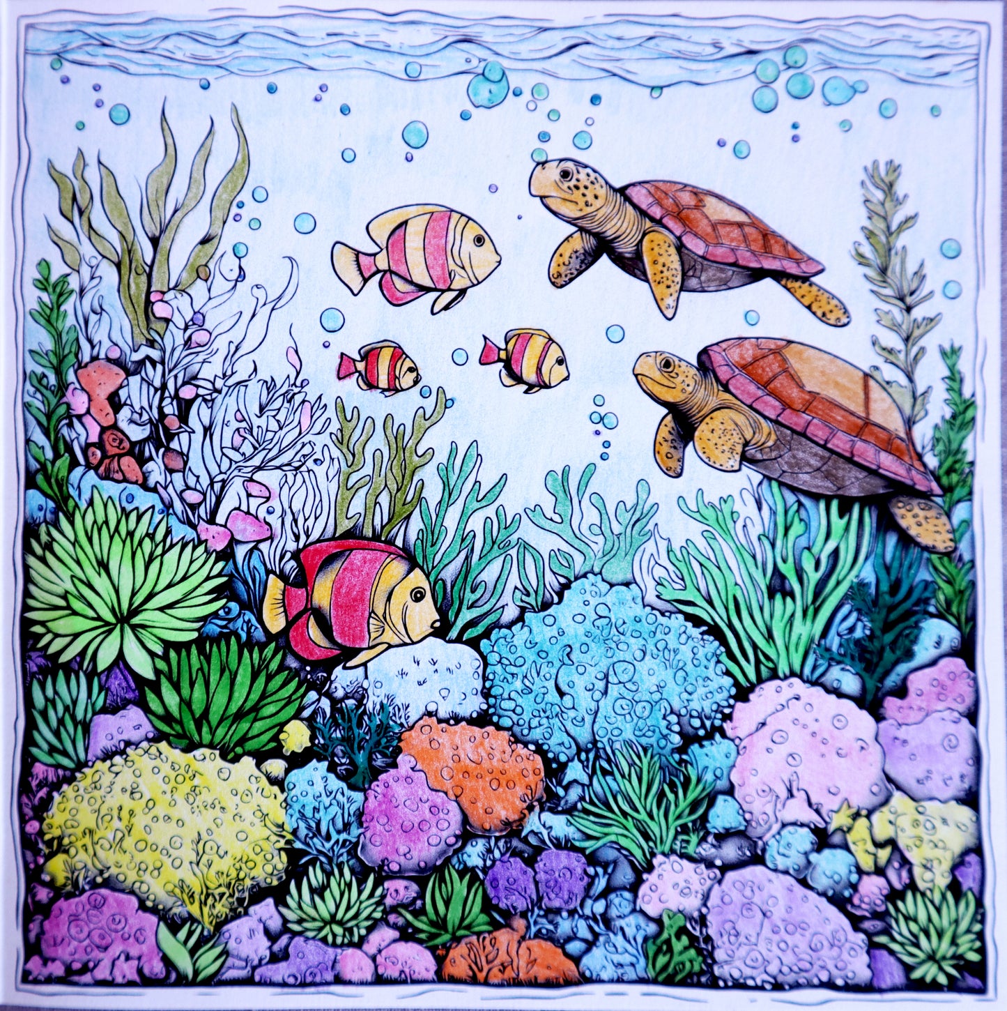 Aqualife Collection Colouring Posters - Sea Art | iColor