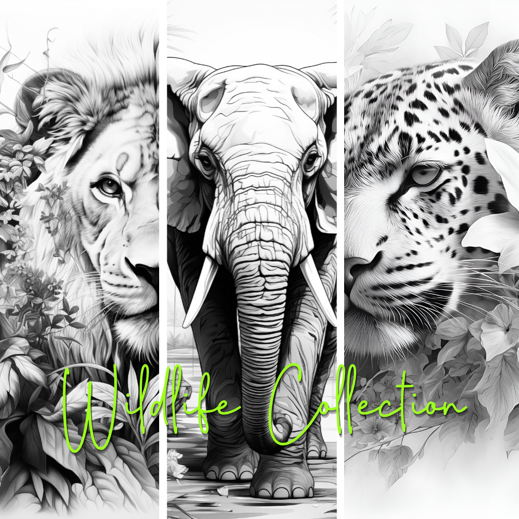 Wildlife Collection Colouring Posters - Animal Art | iColor