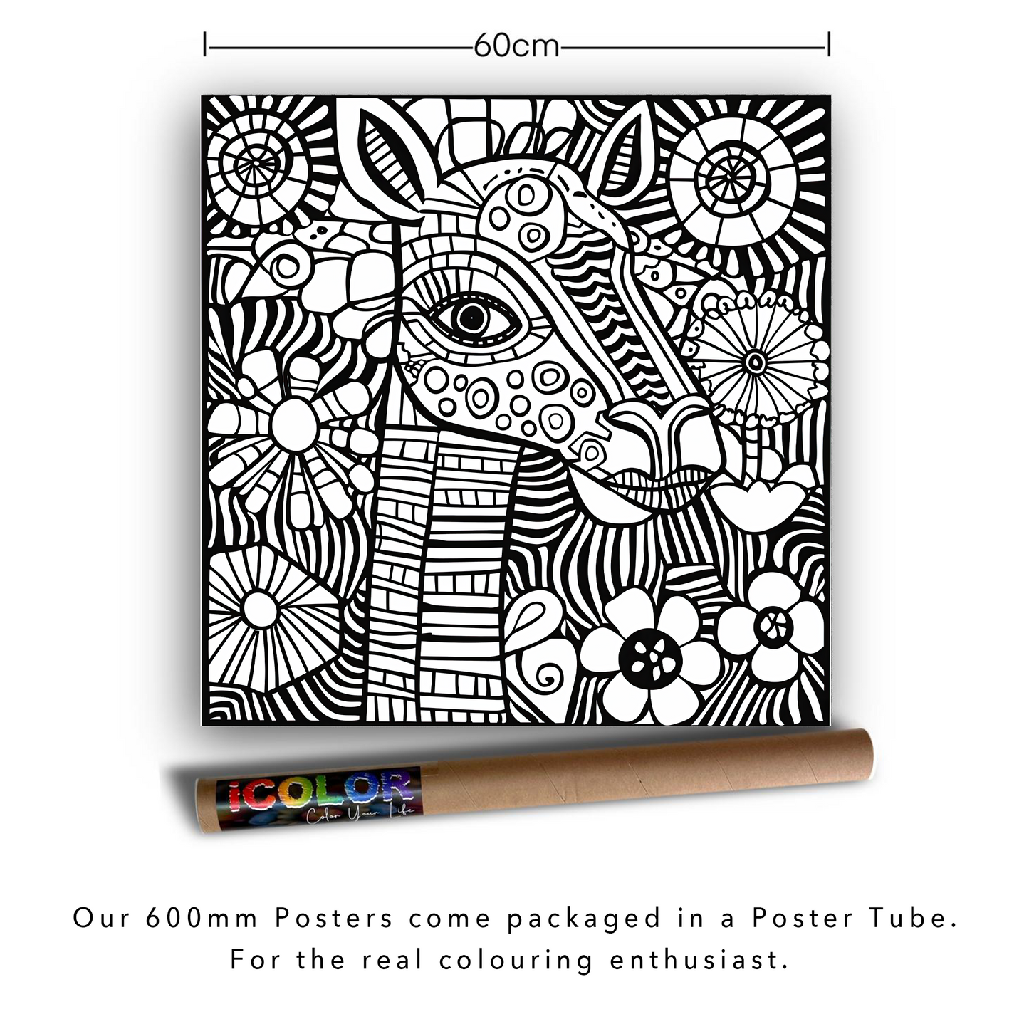 Zany Zebra Kids Colouring Products - Abstract Kids Art | iColor